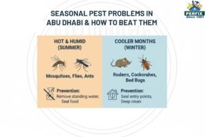 Seasonal Pest Problems in Abu Dhabi & How to Beat Them